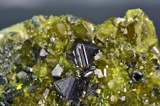 22 Gram Beautiful Magnetite With Epidote Specimen From Afghanistan picture