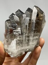 RARE Self-Healed Smoky Quartz Point Wand Cluster Brazil 10.4oz Crystal S23 picture
