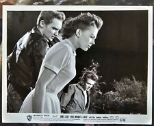 Rebel Without A Cause movie picture picture