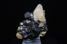 Calcite on Sphalerite / 6.6cm Rare Mineral Specimen / Pitcher Field, Oklahoma picture