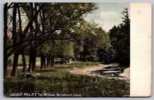 New York Catskill Mountains Willows Murderers Creek Forest Vintage UNP Postcard picture