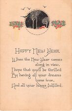 Old Art Deco New Year Motto PC of Holly & Bluebirds by Snowy Rural Home Scene picture