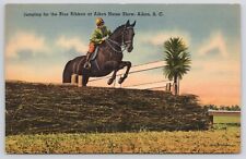 Aiken South Carolina Horse Show Linen Postcard picture
