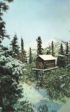 Postcard AK Alaskan Food Cache Winter Snow Animal Hunters Trappers Log Cabin picture