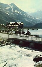 Many Glacier Hotel - Glacier Park - Montana Vintage Postcard picture
