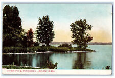 c1905 A View of C.L. Hutchinson's Lake Geneva Wisconsin WI Antique Postcard picture