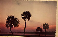 Vintage Posrcard of Sunset Along the Beautiful Gulf Coast Photo picture