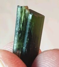 Natural Green Cap Tourmaline 7 Ct Crystal From Skardu Mine Pakistan  picture