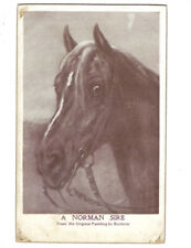 c.1910s A Norman Sire Gilden Edge MT Sheahan Horse Postcard UNPOSTED picture