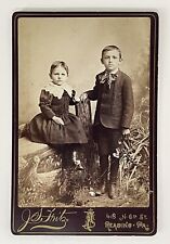 Antique Victorian Cabinet Card Photo Young Brother & Sister Sibling Reading, PA picture