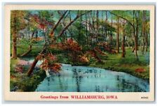 1952 Greetings From River Lake Trees Williamsburg Iowa Vintage Antique Postcard picture