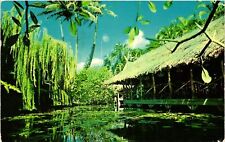 Vintage Postcard- The Willows, Honolulu HI 1960s picture