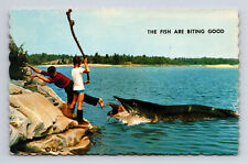 Exaggerated Giant Pike Fish are Biting Tall Tale Emerson Canada Postcard picture