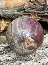 Stunning XXL 7LB All Natural Petrified Wood Crystal Sphere- 76A picture