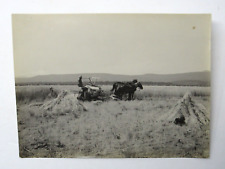 Butte Valley Macdoel CA c1910 Historic Photograph H.F. Maust Ranch Cutting Wheat picture