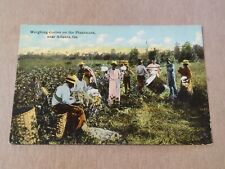 Weighing Cotton On The Plantation Near Atlanta GA Divided Back Unposted Postcard picture