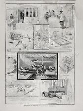 Narcotics Opium Den, Drug Paraphanalia Shown, Large 1880s Antique Print picture