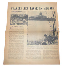 Vtg Newspaper Article Beaver with Missouri State Capital Globe Democrat Nov 1953 picture