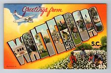 Walterboro, SC-South Carolina, LARGE LETTER Greetings, Vintage Postcard picture