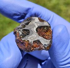 Meteorite**NWA Unc. Pallasite**21.842 gram, New Gorgeous Etched Pallasite  picture