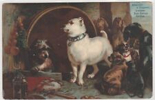 Outstanding group of dogs u1906 Postcard picture