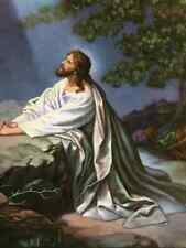 JESUS CHRIST GOD PRAYING IN THE GARDEN OF GETHSEMANE 8.5X11 PHOTO PICTURE POSTER picture