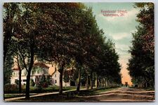 Waterman Illinois~Italianate Home w/Big Porch~Buggy on Tree-Lined Dirt St~c1910 picture