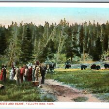 c1910s Yellowstone Park, WY Crowd Tourists & Bears J.E. Haynes Photo #13054 A226 picture