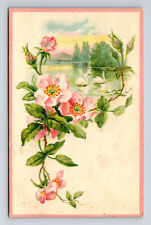 1907 European Floral Greeting Pink Flowers White Swans Postcard picture