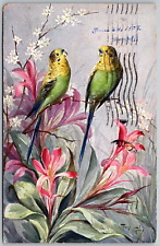Mary Golay Artist Signed 1907 Postcard Pair Of Birds Red Flowers picture