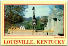 Postcard - Louisville Zoo - Louisville, Kentucky picture