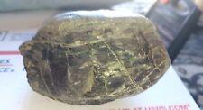 100% Natural Green And Purple Unknown Rock From California picture