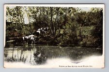 Elgin IL-Illinois, Scene on Fox River, Antique c1909 Vintage Souvenir Postcard picture