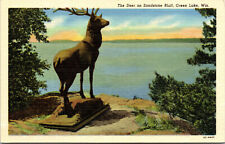 Vtg 1950s The Deer on Sandstone Bluff Green Lake Wisconsin WI Unused Postcard picture