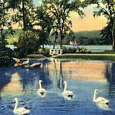 Vintage Chautauqua Lake, NY Linen Postcard Beautiful Scenic View Posted 1952 picture