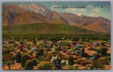 Barrel Cactus Ole Southwest c1940s Linen Postcard Postal Cancel Victoria Texas picture