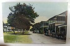 Kissimmee FL Florida Broadway c1909 Used Postcard picture