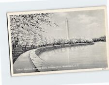 Postcard Washington Monument Cherry Blossoms Riverside Drive Washington DC USA picture