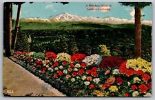 California Southern Midwinter Snowcapped Mountains Forest Flowers VTG Postcard picture