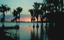 Postcard FL Cypress Gardens Fascinating Silhouettes 1983 Chrome Vintage PC J1077 picture