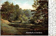 Meadvilee Pennsylvania PA Forest Cancel Trenton NJ 1907 Antique PM Postcard picture