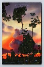 FL-Florida, Florida Silhouette, Vintage c1939 Postcard picture