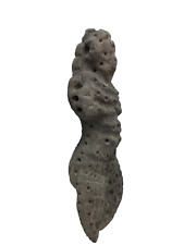 Neolithic stone idol of the Cucuteni-Trypillian culture (Sun God) picture