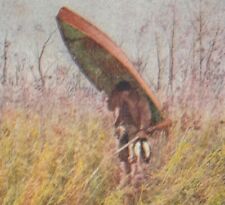 c 1900 Man Duck Hunting Thick w/ Canoe Unlucky Day Shotgun Gun Rifle Stereo View picture