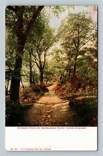 Chicago IL, Wooded Path By Desplaines River, Illinois Vintage Postcard picture