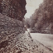 Trenton Falls New York Stereoview c1870 River Antique Photo Robert Moore NY B874 picture