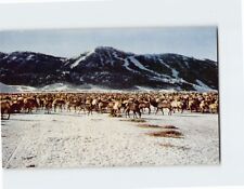 Postcard National Elk Refuge, Jackson Hole, Jackson, Wyoming picture