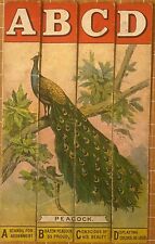 VICTORIAN DISSECTED SLAT PUZZLE ~ PEACOCK ~ BEAUTIFUL BIRD ~ ALPHABET picture
