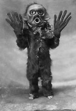 Vintage Halloween Child Monster Photo 979 Oddleys Strange & Bizarre picture