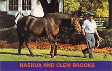 NASHUA Thoroughbred Race Horse 1952-82 CLEM BROOKS Spendthrift Farm postcard A69 picture
